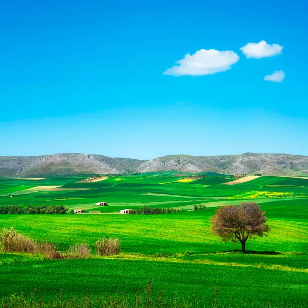 Apulia Countryside View Rolling Hills Green Fields Landscape Murge Poggiorsini — Stock Photo, Image