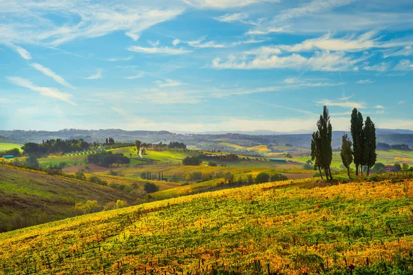 Panorama Winnic Drzew Cyprysowych Castellina Chianti Jesienią Toskania Włochy Europa — Zdjęcie stockowe