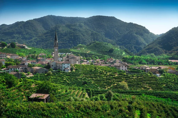 Prosecco Hills Vinhas Aldeia Guia Site Unesco Valdobbiadene Treviso Veneto — Fotografia de Stock