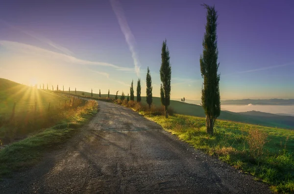 Volterra Landscape Tree Lined Road Rolling Hills Fog Sunrise Tuscany — Stock Photo, Image