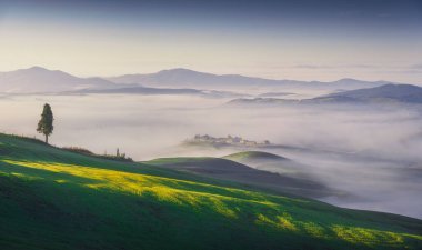 Volterra sisli panorama, ağaçlar, yuvarlanan tepeler ve gün doğumunda yeşil alanlar. Toskana İtalya, Avrupa
