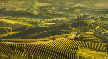 Langhe üzüm bağları günbatımı manzarası, Grinzane Cavour, Unesco Sitesi, Piedmont, Kuzey İtalya Avrupa.