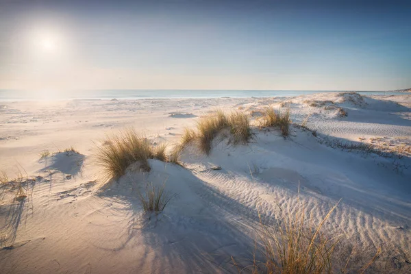 White Sand Beach Dunes Vada Rosignano Marittimo Tuscany Italy Europe — Stock Photo, Image