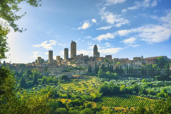 Panoramisch Uitzicht Het Platteland Chianti Vernaccia Wijngaarden Het San Gimignano — Stockfoto