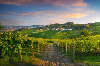 Barbaresco köyü ve Langhe üzüm bağları, Unesco Sitesi, Piedmont, Kuzey İtalya Avrupa.