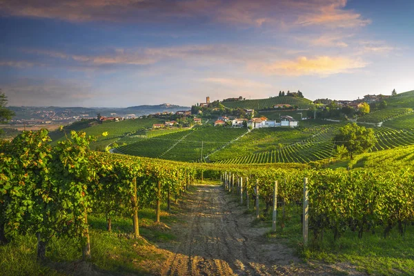 バルバレスコ村とランゲのブドウ畑 ユネスコサイト ピエモンテ州 北イタリアヨーロッパ — ストック写真
