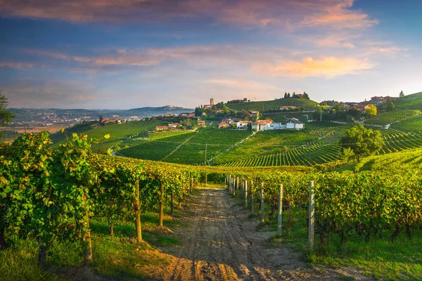 Village Barbaresco Vignobles Langhe Site Unesco Piémont Italie Nord Europe — Photo