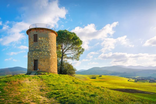 Tuscany Maremma Countryside Landscape Old Windmill Trees Top Hill Bibbona — Stock Photo, Image