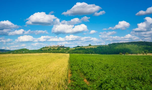 Monteriggioni Два Цвета Поля Маршрут Francigena Укрепленные Деревни Заднем Плане — стоковое фото