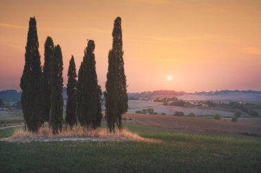 Maremma kırsalında gün batımı manzarası. Yuvarlanan tepeler ve selvi ağaçları. Bibbona. Toskana, İtalya, Avrupa