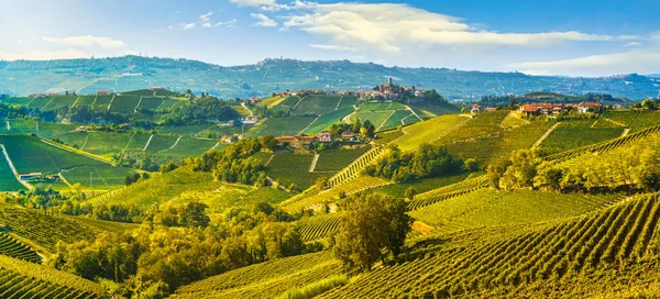 Paisagem Vinhas Langhe Castiglione Falletto Panorama Aldeia Unesco Site Piemonte — Fotografia de Stock