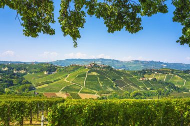 Langhe vineyards, Castiglione Falletto village and tree branches as a frame. Unesco Site, Piedmont, Northern Italy Europe.