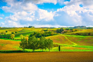 Tuscany 'de sonbahar, tepe ve ağaçlar. Castellina Chianti, İtalya, Avrupa 'da.