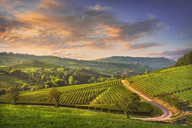 Langhe üzüm bağları günbatımı manzarası, Barolo ve La Morra, Unesco Sitesi, Piedmont, Kuzey İtalya Avrupa.