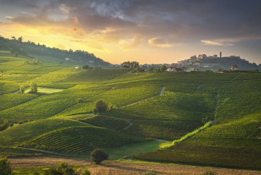 Langhe üzüm bağları günbatımı manzarası, Barolo ve La Morra, Unesco Sitesi, Piedmont, Kuzey İtalya Avrupa.