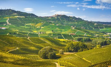 Langhe tepeleri ve üzüm bağları manzarası, Barolo ve La Morra, Unesco Sitesi, Piedmont, Kuzey İtalya Avrupa.