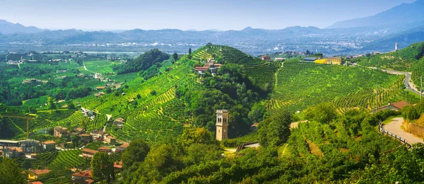 Prosecco Hills Αμπελώνες Πανοραμική Τοπίο Τοποθεσία Unesco Valdobbiadene Treviso Veneto — Φωτογραφία Αρχείου