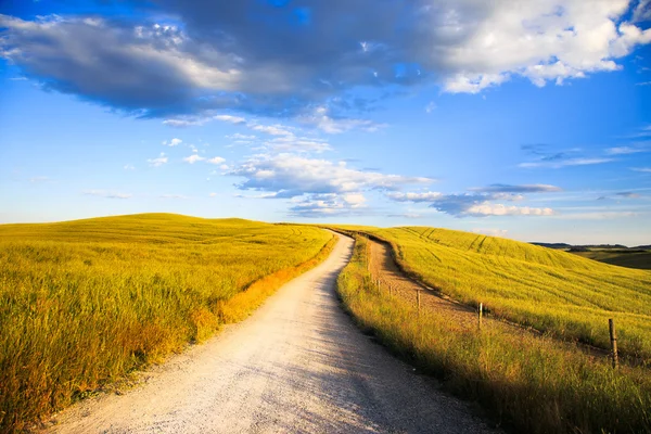 Toscana, strada bianca su dolci colline, paesaggio rurale, Italia, Eur — Foto Stock