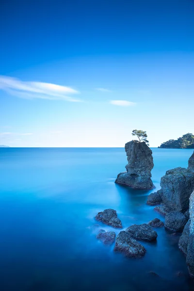 Portofino park. Sosna drzewo skała urwiska. długich ekspozycji. Liguria, to — Zdjęcie stockowe