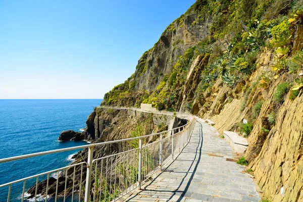 Dell Amore, aşk yolu yaya Caddesi. Cinque Terre — Stok fotoğraf