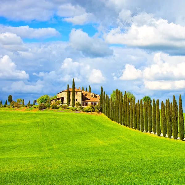 Toscana, terreni agricoli, cipressi filari e campi . — Foto Stock