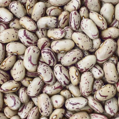 Yaban mersini, Borlotti veya kabuk fasulye doku arka plan veya desen