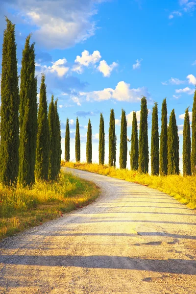 Toscane, cipressen witte weg rurale landschap, Italië, Europa — Stockfoto