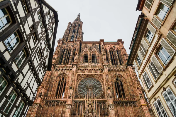 Estrasburgo, Catedral de Notre Dame. Alsacia, Francia — Foto de Stock