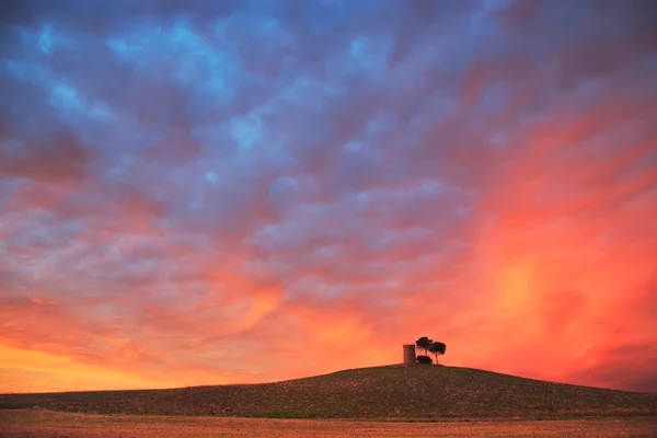 Tuscany, Maremma red sunset landscape. Rural tower and tree on h — Stock Photo, Image