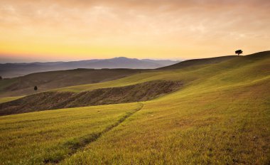 Volterra, sunset bulvarında tepeler haddeleme yakınındaki tarım arazisi. Kırsal manzara