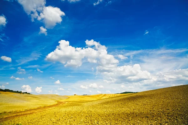 Toskánsko, venkovské krajiny nedaleko Pienzy. Siena, Val d Orcia, Itálie — Stock fotografie