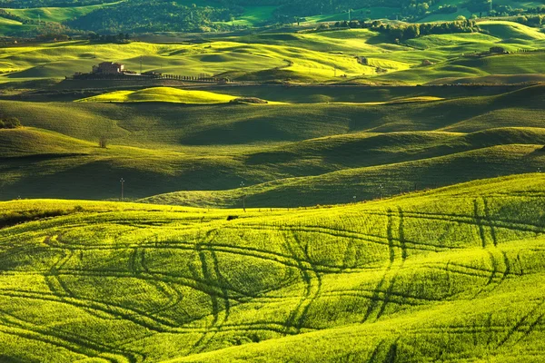 Toscaanse lente, glooiende heuvels op zonsondergang. — Stockfoto