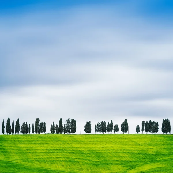 Toskana, Zypressen auf einem Hügel ländliche Chianti-Landschaft, Italien. — Stockfoto