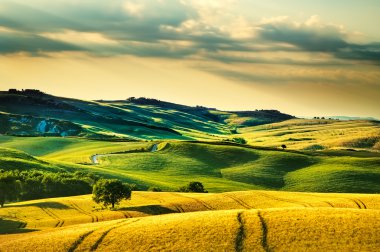 Tuscany spring, rolling hills on sunset. clipart