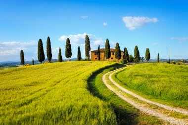 Toskana, tarım arazileri, servi ağaçları ve günbatımı beyaz yolda. Siena