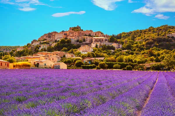 Simiane la Rotonde falu és a levendula. Provence, Franciaország — Stock Fotó