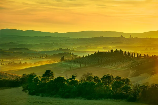 Siena, sanfte Hügel bei Sonnenuntergang. — Stockfoto