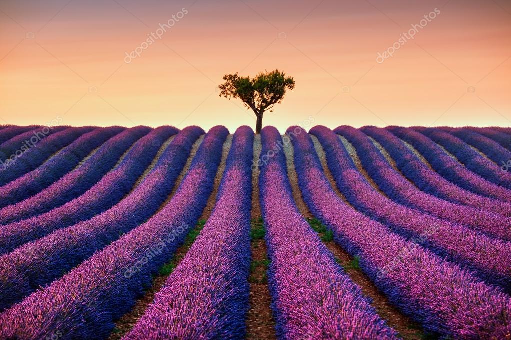 Valensole