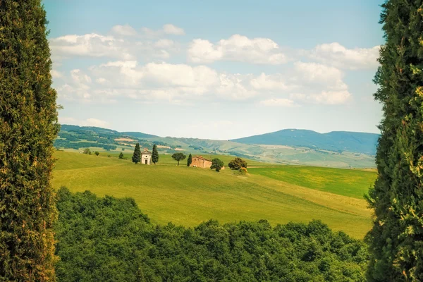 Tuscany landscape, cypress trees and Vitaleta chapel on back, va — Stock Photo, Image