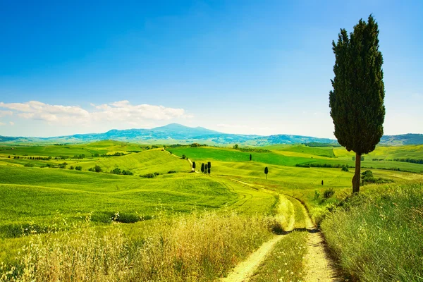 Toscana, paisaje rural al atardecer. Finca rural, camino blanco y — Foto de Stock