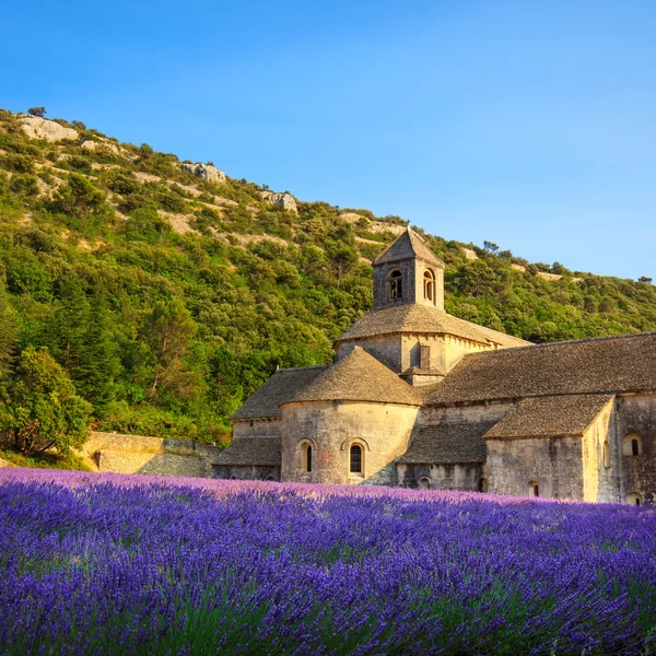 Senanque opatství kvetoucí levandule květiny na západ slunce. Gordes, L — Stock fotografie