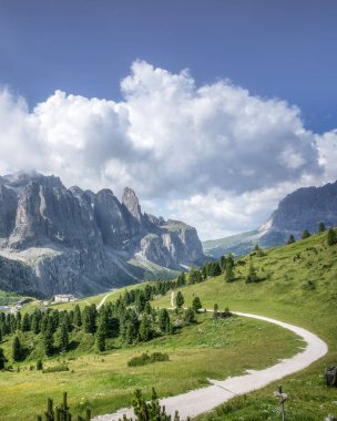 Dolomitlerin Gardena Geçidi yakınlarındaki yaz manzarası, yeşil alp çayırları, çam ağaçları ve kayalık zirveler boyunca dolambaçlı bir patika, İtalya 'nın Güney Tyrol bölgesi.
