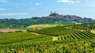 Vignale Monferrato tepedeki köyünün panoramik manzarası İtalya 'nın Piedmont bölgesindeki üzüm bağlarına bakıyor.