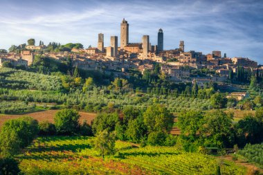 Ortaçağ kulelerinin panoramik manzarası ve San Gimignano 'nun ufuk çizgisi, etrafındaki yuvarlanan tepelere hakim. Toskana sahnesinin ön planında üzüm bağları ve zeytinlikler var.