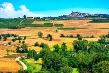 Monferrato manzarası altın tarlalar ve ağaçlarla kaplı. Kilisesi tarafından taçlandırılan Vignale Monferrato köyü uzak tepeden görülebilmektedir. Piedmont, İtalya