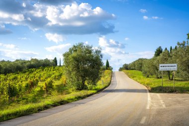 İtalya 'nın başkenti Val di Pesa' da San Casciano, Montefiridolfi 'deki Toskana köyüne doğru giden bir yol görülüyor. Yol yeşil üzüm bağları ve zeytinlikleriyle kaplı..