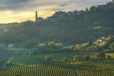 İtalya 'nın Tuscany, Montepulciano şehrinin tarihi tepe manzarası gün doğumunda. Sant 'Agostino Kilisesi' nin çan kulesinin ve üzüm bağlarının bulunduğu ufuk çizgisi..