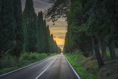 İkonik Viale dei Cipressi, Cypress Avenue, Bolgheri, Toskana, İtalya manzarası. Düz yol, arka planda altın bir günbatımı olan eski selvi ağaçları tarafından çerçevelenmiştir.