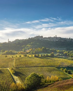 Montepulciano, Tuscany, İtalya 'nın tepe kasabasının dikey görüntüsü, sabah gündoğumunda. Ortaçağ gökdelenleri, teraslara bakan, altın sonbahar yapraklı üzüm bağları..