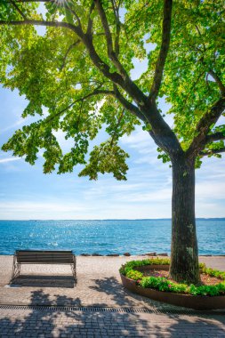 İtalya, Veneto 'daki Garda gölü manzarası. Garda Gölü 'ne bakan kaldırımlı bir güvertede büyük bir ağacın altında bir bank oturuyor.